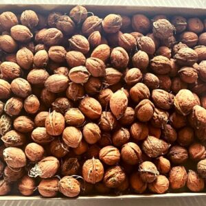 Walnuts