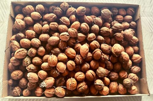 Walnuts