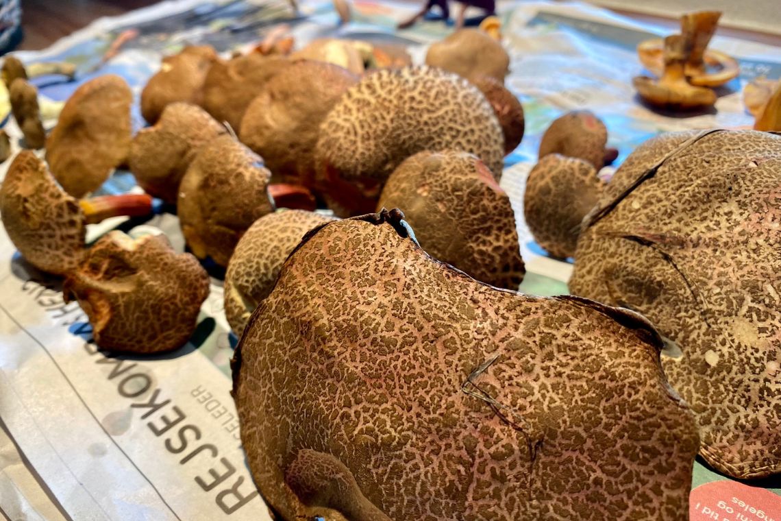 Mushrooms