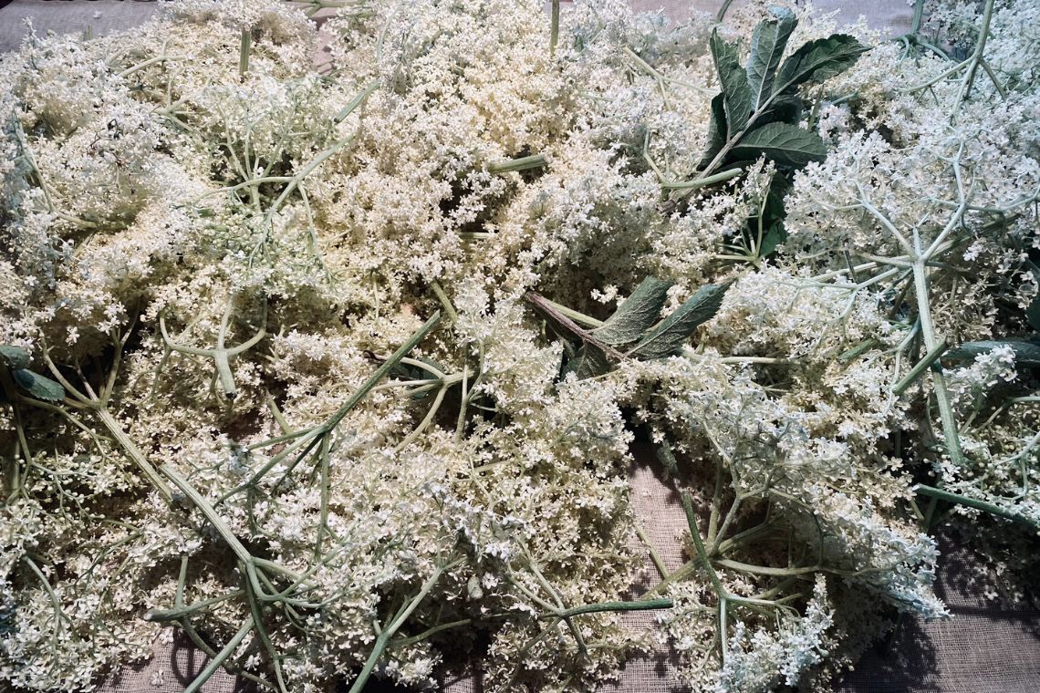 hyldeblomster til hyldeblomstte