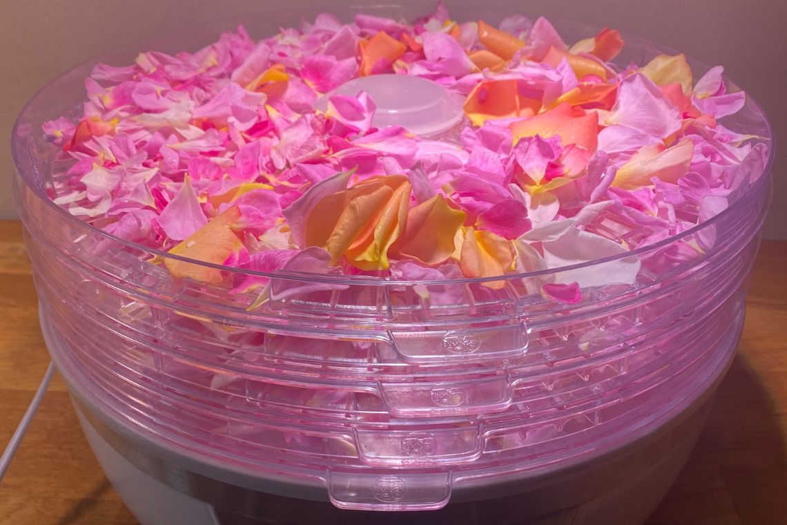 Rosenblade i dehydrator