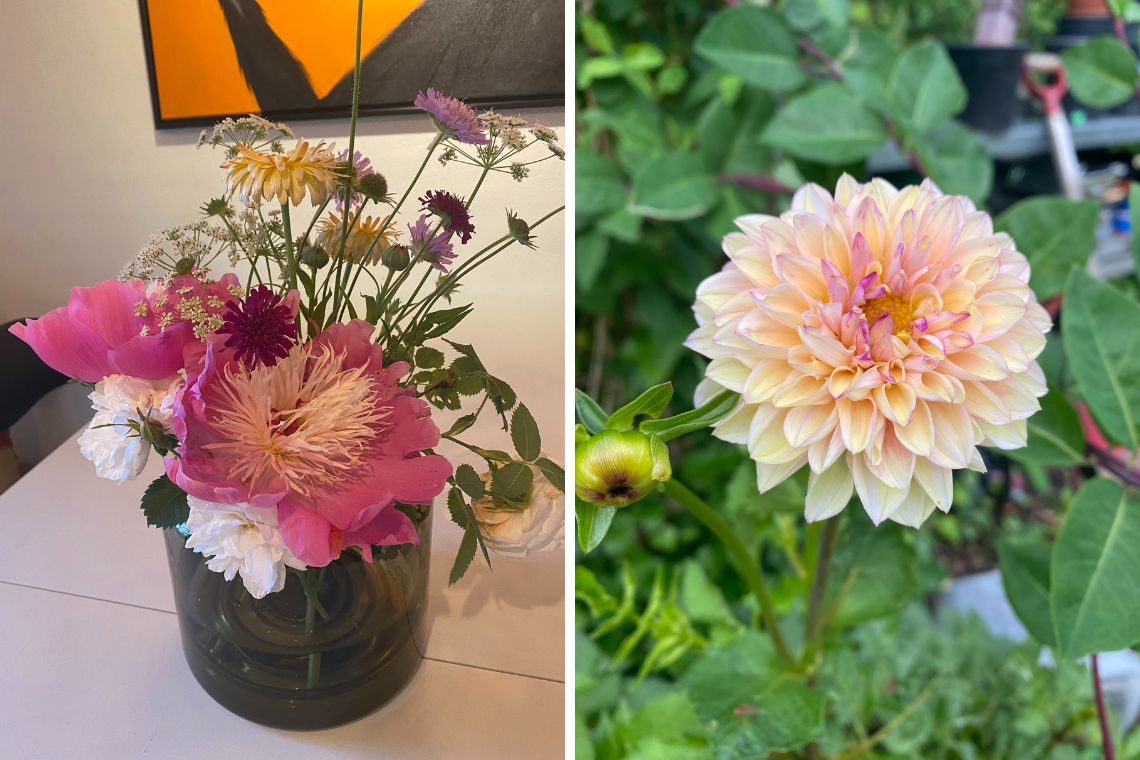Blomster i vase