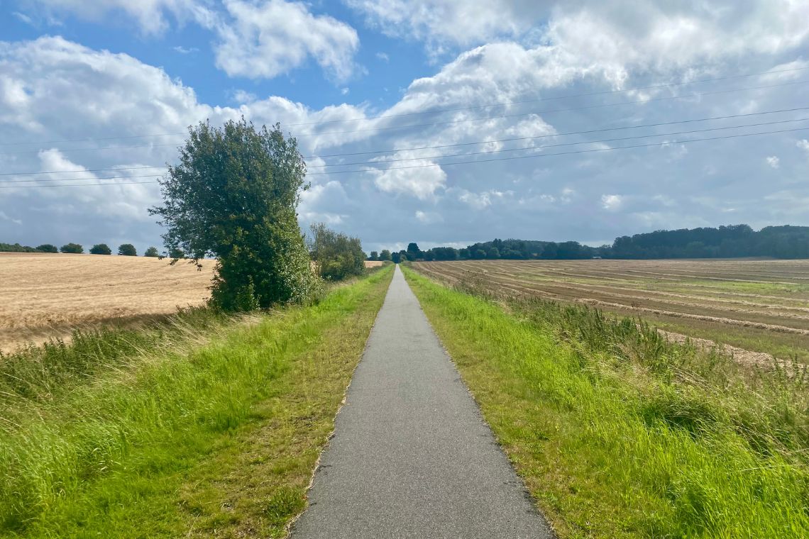 Naturen på løbeture i august