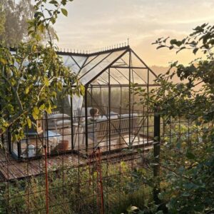 Det nye drivhus i haven