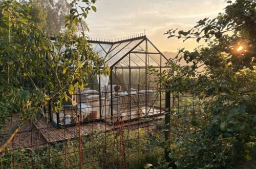 Det nye drivhus i haven